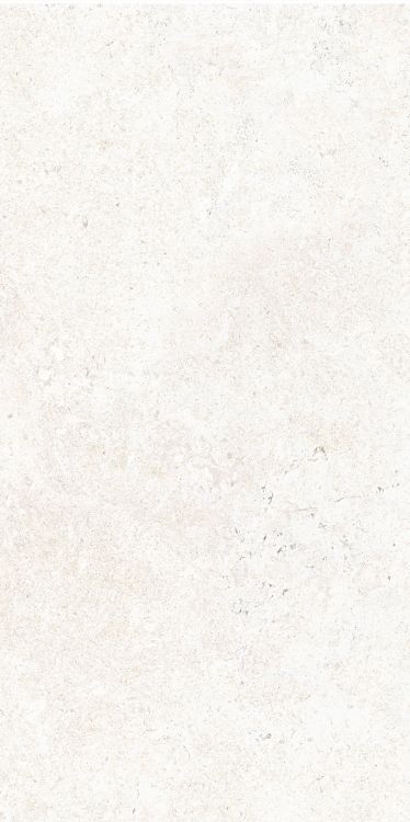 OL Limestone Bianco Matte 12 x 24